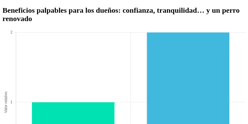 Beneficios palpables para los dueños: confianza, tranquilidad… y un perro renovado